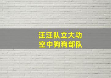 汪汪队立大功 空中狗狗部队